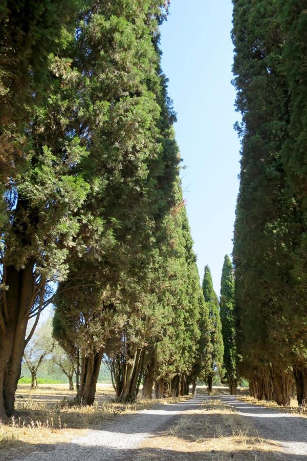 Holiday Home Il Podere Del Lago By Interhome ボルセーナ エクステリア 写真