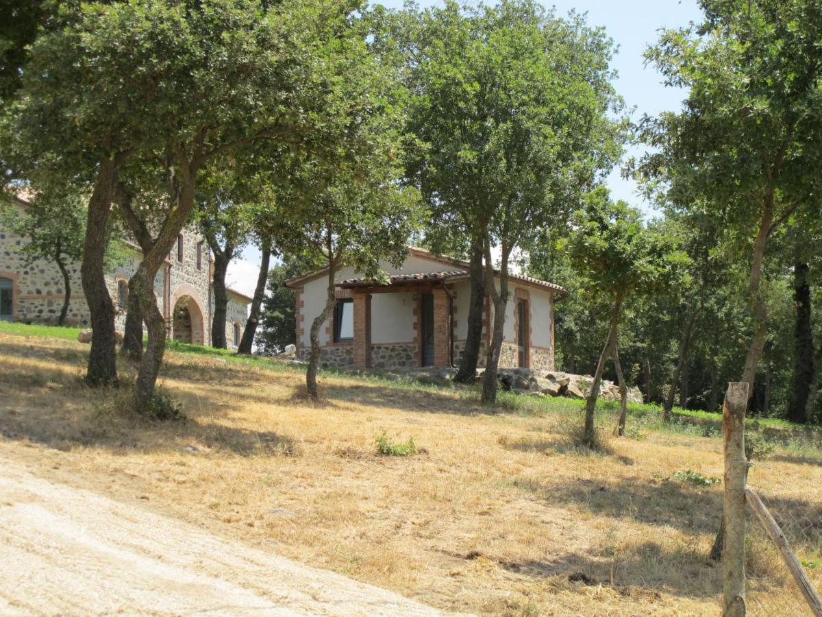Holiday Home Il Podere Del Lago By Interhome ボルセーナ エクステリア 写真